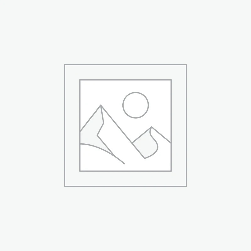 Pins Pumpkins Family